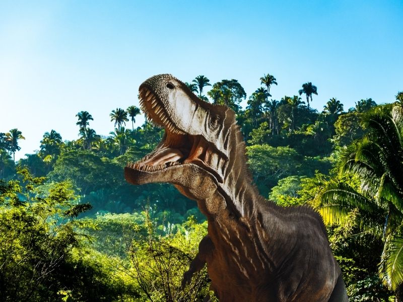 World of Dinos