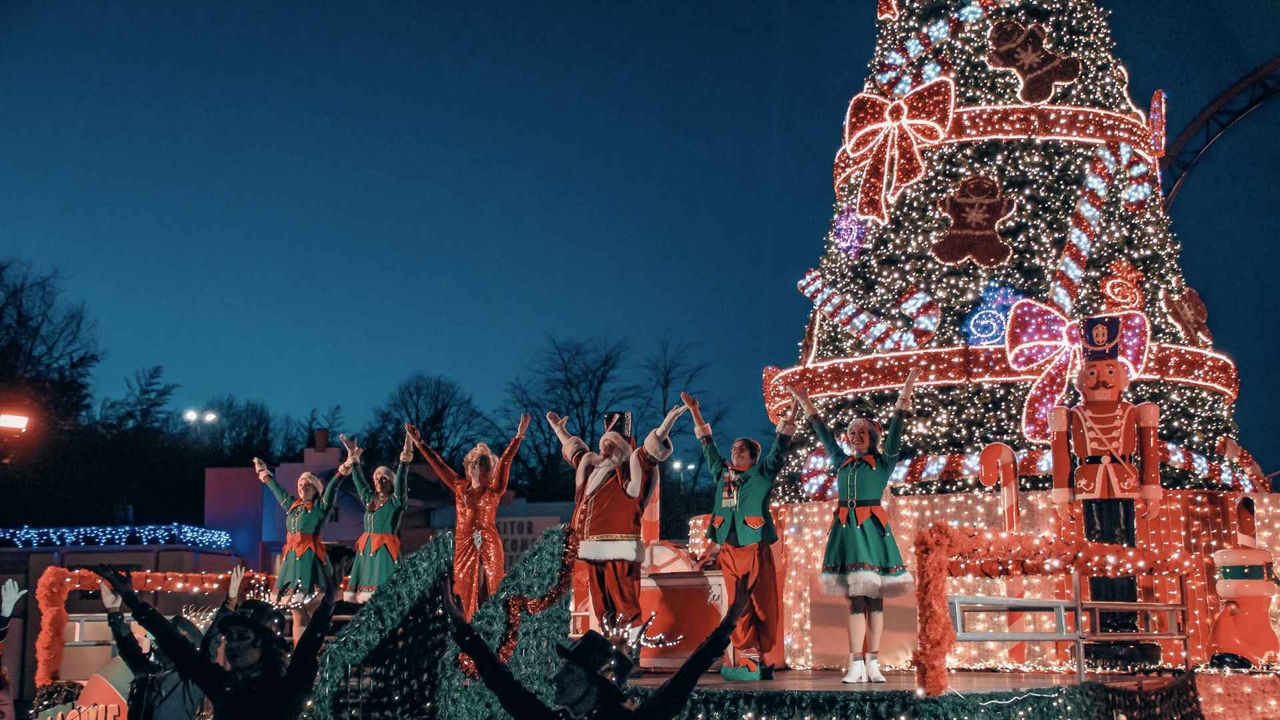 Christmas Tree Celebration - 1