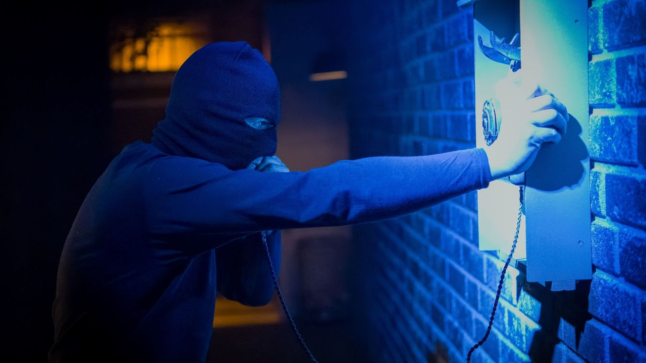 S.A.M. opening hours and prices at Movie Park