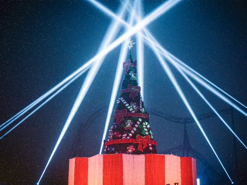 Highlight Web - Christmas Tree Celebration r